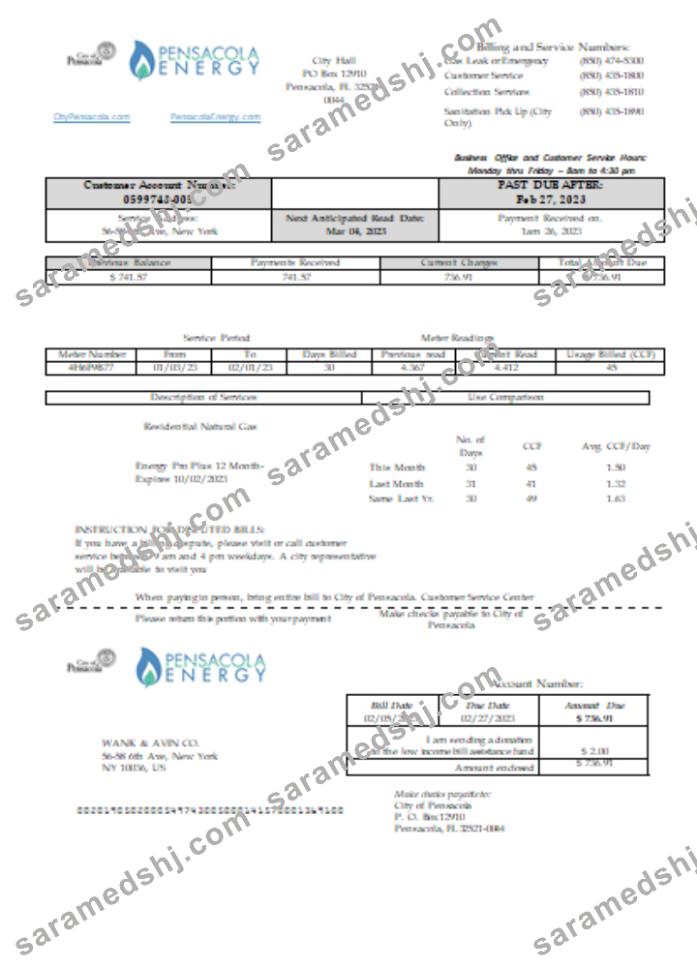 Florida Pensacola Energy utility business bill,  SCR